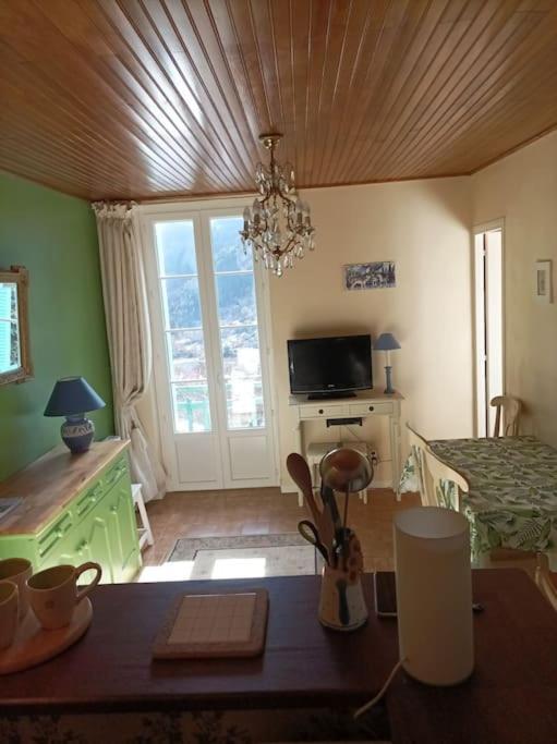 Saint-Martin-Vésubie Lumineux 2 Pieces A St Martin 아파트 외부 사진